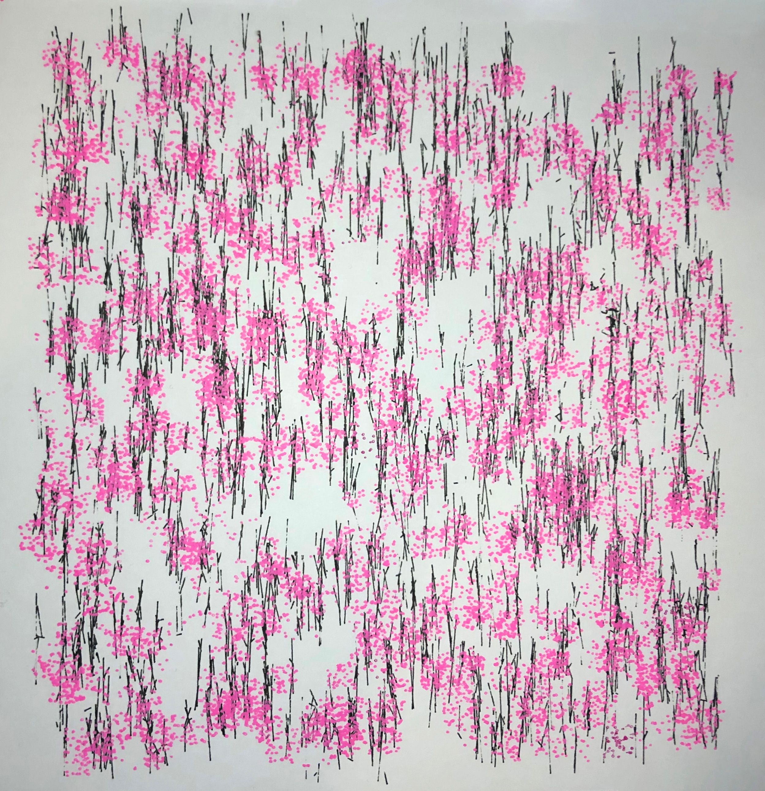 d7329979-b2ac-475e-ba72-dabf94196b21 d7329979-b2ac-475e-ba72-dabf94196b21